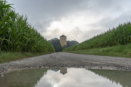 穿越绿玉米田和一座旧塔在夏天的雨季德国shwabic大厅附近图片