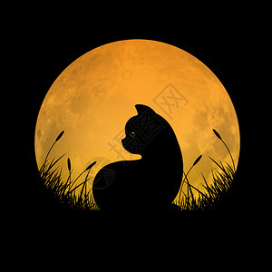 猫坐在草地上满月背景矢量插图图片