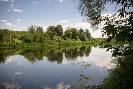 平静的河流和绿林平的风景背景图片
