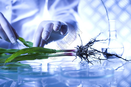 植物实验室科学图片