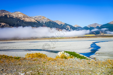 新西兰海藻中的黄森林和河流新西兰山中的黄森林和河流图片