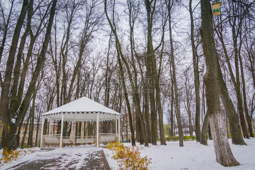 冬季在市公园装饰木质吊椅和长图片