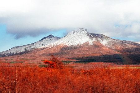 冬季北海道山的科马加塔克与干燥美丽的彩色森林图片