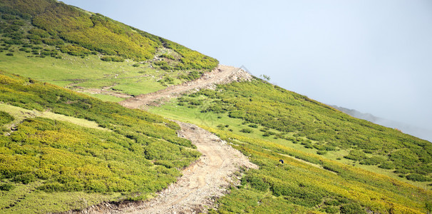 乡村山地公路图片