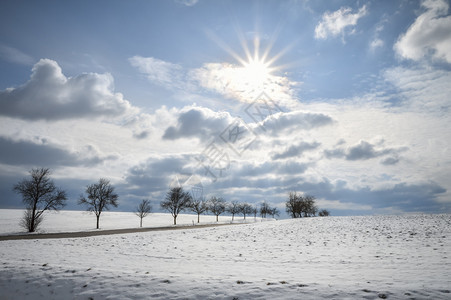 阳光明媚的冬季雪景图片