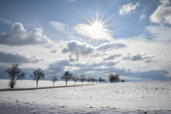 阳光明媚的冬季雪景图片