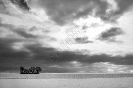 黑色和白的景一个最小的冬季图像仅有几棵树在一片大雪地上在戏剧般的天空下在德国的ilshofen附近图片