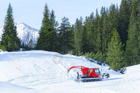 山上冬季活动有个红雪护师周围是阿尔卑斯山的雪林和绿在奥斯特里亚的厄尔瓦德图片