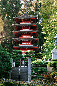 贝洛哈里桑塔夏季在金门公园日本茶的金色木塔圣弗朗西斯科哈里弗尼亚美国a背景