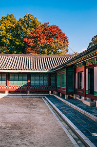 常德宫的红墙瓦顶又名东宫是韩国首尔五大宫殿之一图片