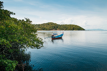 夏日在萨穆伊岛附近的科茶红树林泰国热带岛屿图片
