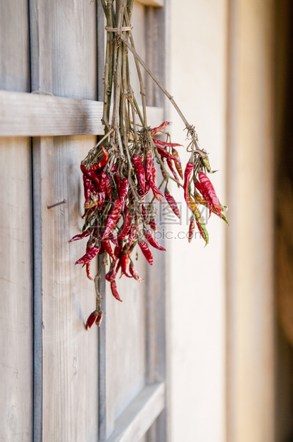 红辣椒挂在户外干辣椒挂在木墙上旧埃多屋的木墙上纳里塔雅潘图片