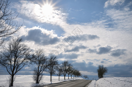 冬天阳光照耀在一片雪覆盖的田野在上图片