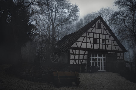 在寒冷的冬天在德国斯哈瓦比舍大厅附近一片漆黑的森林里被浓雾包围着一片空荡的废弃房屋幽暗景象图片