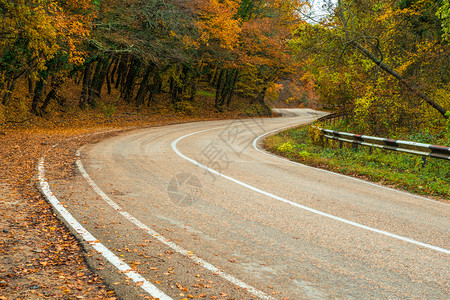 森林公路山上危险转弯秋天摄影背景