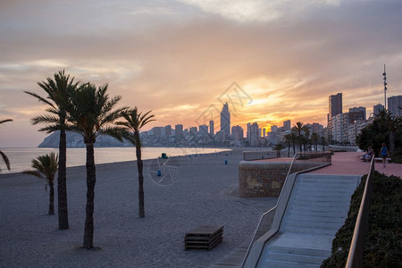 西班牙棕榈树的海滩日落图片