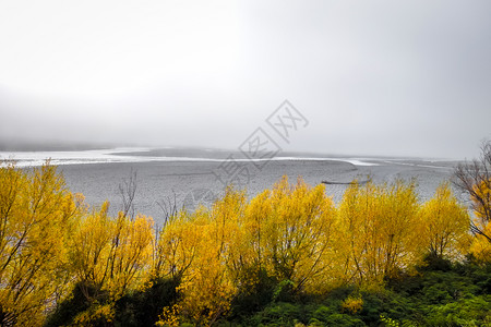 雾中的山地风景新西兰大海图片