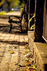 秋日阳光下的城市公园长椅图片