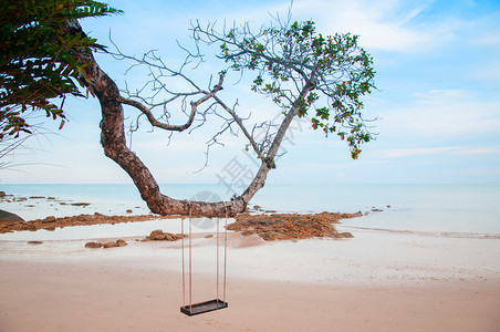 夏天沙滩和摇摆挂在树上克拉比泰兰图片
