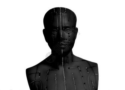 人类在白色背景上隔离的人体医学针刺模型图片