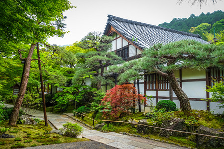 日本京都岚山竹林中的jojakkoji神殿日本京都的jojakkoji寺庙背景图片