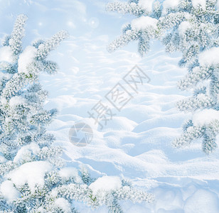 寒冷阳光明日的冬月风景有白雪贴近和地漂的树木覆盖着青自然户外森林中下雪的背景有复制空间以蓝色刻着图片