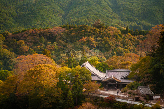 哈希德寺庙位于山区建6世纪以樱花和秋叶闻名图片