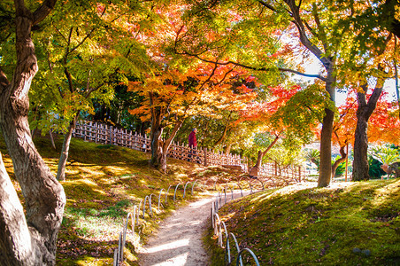 秋叶在冈山城堡公园冈山日本图片