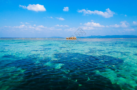 美丽的热带海洋水晶清澈的绿水和珊瑚礁在卡比拉湾伊西加基岛霍纳瓦雅潘图片