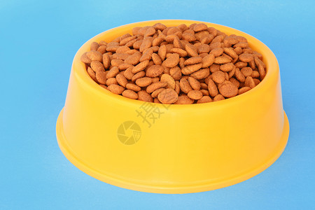 黄塑料碗满狗食浅蓝色背景宠物喂养和照料概念背景图片
