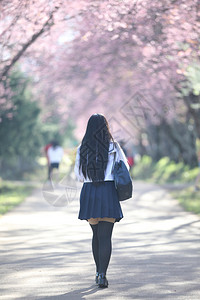 穿着萨库拉鲜花自然行走道的日本女学生图片