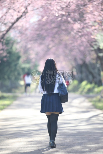 穿着萨库拉鲜花自然行走道的日本女学生图片