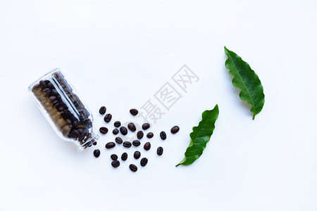 白色背景的咖啡豆和叶子图片