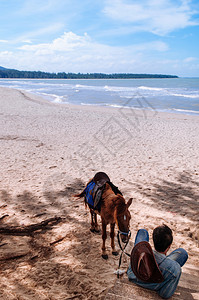 tongkhlatind夏季在著名的samil海滩提供马骑服务图片