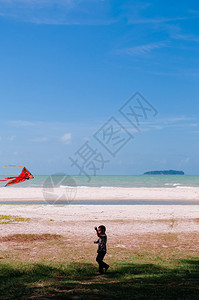 2013年8月7日夏季在著名的samil海滩的玩彩色风筝图片