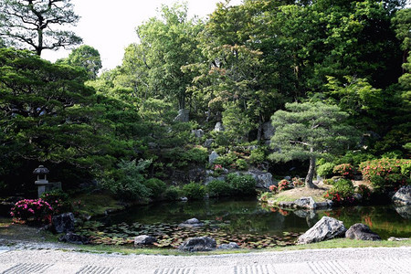 在日本寺庙的花园图片