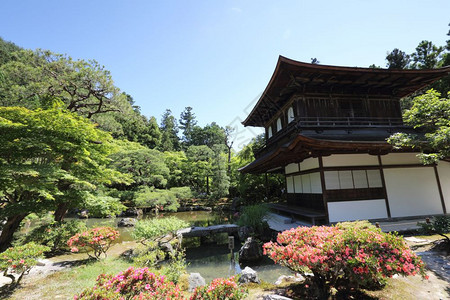 日本京都的ginkauji寺庙背景图片