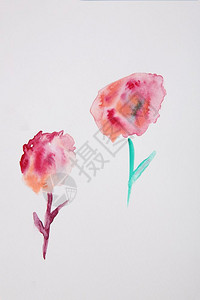 抽象玫瑰水彩背景纹理图片