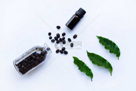 白底咖啡和谷物中含有基本油的白底咖啡和图片