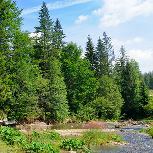 山河和岩岸上的隐形森林景色美位置是喀尔巴阡乌黑欧洲图片