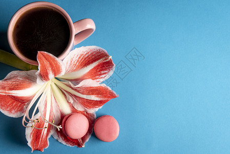 大花瓣上挂着美味的马卡龙与热咖啡杯旁带复制空间的蓝色背景图片