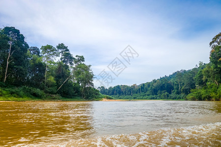 塔曼尼加拉公园马来西亚塔曼尼加拉公园的河流和丛林图片