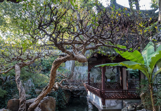 在旧城上海Yuyan或an花园的池塘或上海Yuyan花园的池塘或上海Yuyan花园图片