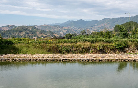 在Xiamen附近的usco遗产地在石屋周围种植茶叶树在Wanuesco世界遗产地Tul外的茶叶树丛图片