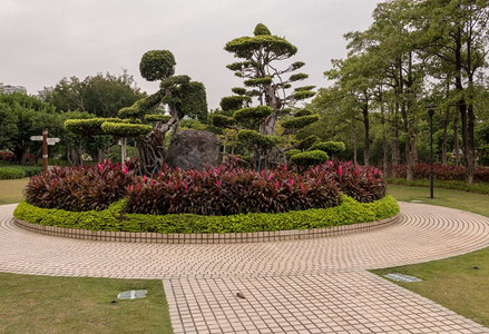 齐亚门州贝卢公园的装饰树和灌木被雕塑成形状的装饰树和灌木图片