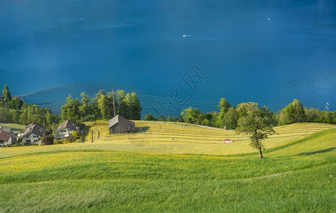 长着绿黄弯曲草原的春地一座瑞士村庄和瓦伦西湖的蓝水图片