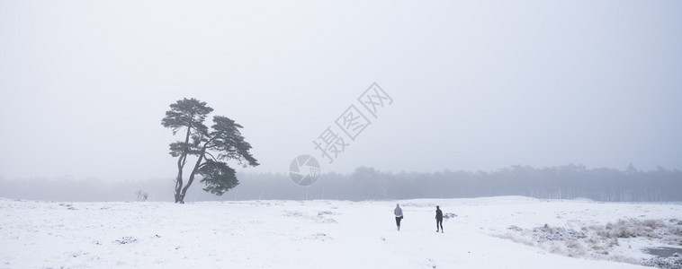 两人在冬天的风景中慢跑走向在泽斯河边的孤单松树图片