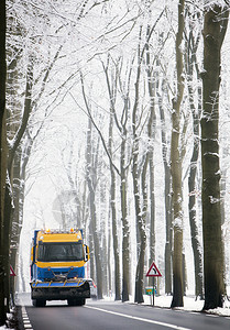 冬季雪林公路上的汽车图片