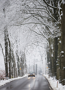 冬季雪林公路上的汽车图片