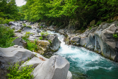 大森林达亚加瓦河上的坎曼富基深渊地点日本尼科雅潘卡曼加富基深渊日本尼科伊潘背景